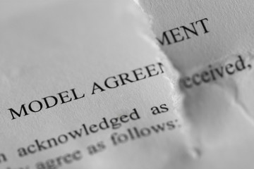model agreement trash