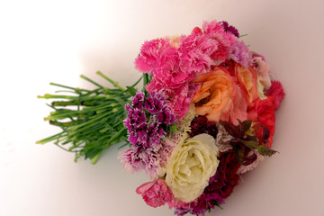 fleur 073