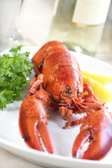 lobster