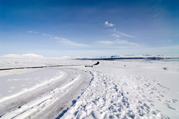 spuren im schnee