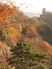 suspension bridge in autumn