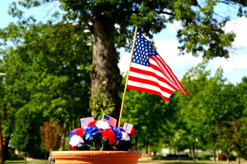 american patriotism - flag and tree