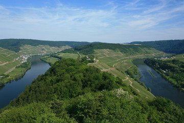 Fototapeta na wymiar Moselle w lewo i prawo