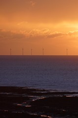 Fototapeta na wymiar morskich farm wiatrowych