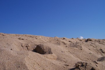 little cloud on the beach
