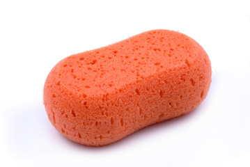 bath sponge