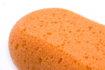 bath sponge
