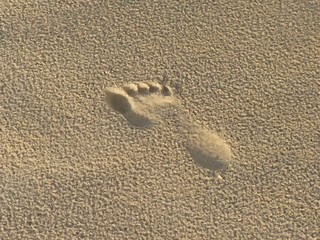 le pied