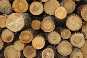pile of wood