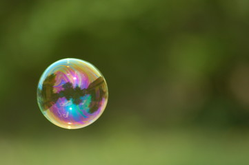 une belle p'tite bulle
