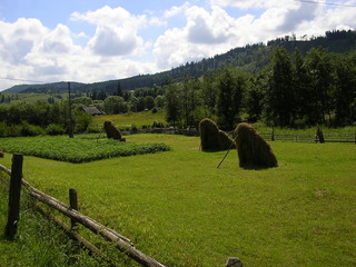 agricultural land