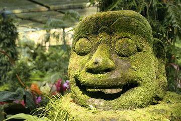 Jungle head statue