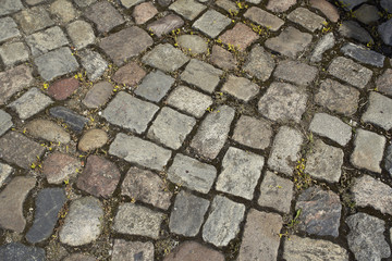 pavement-2