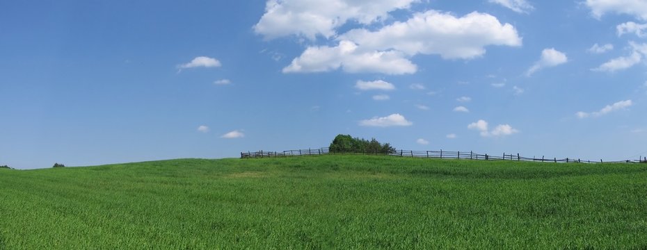 green field