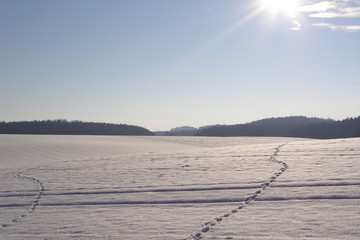 wintersonne-michael gerlach