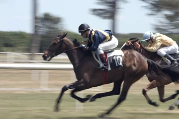 Vlies Fototapete Reiten sprint entre deux chevaux