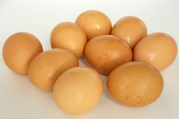 eggs