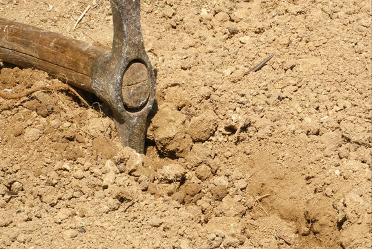 piocher