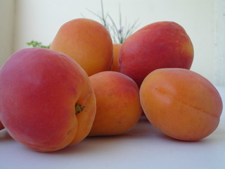 abricots