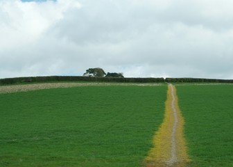 country path