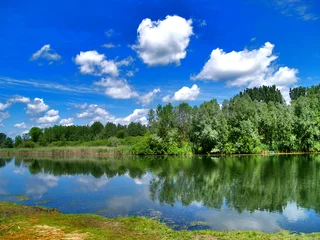 Foto op Plexiglas rivier reflectie © Tomislav Saic