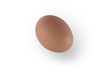 isolated egg