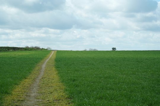 country path