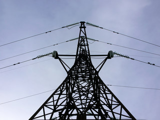 high voltage power transmission tower branch