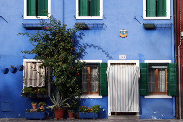maison, façade bleue : venise île de burano italie