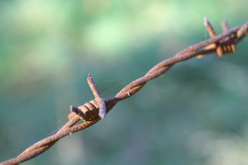stacheldraht