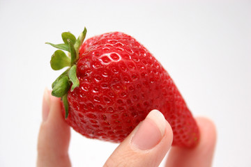 Obraz premium big berry