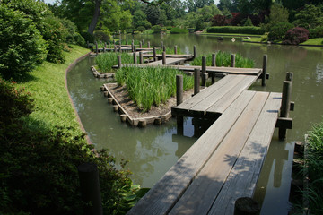 japanese garden