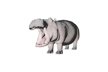 pencil sketch hippo