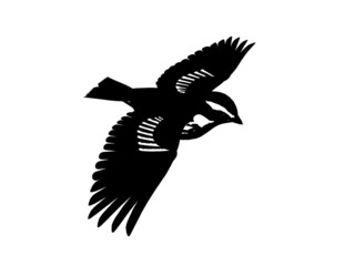 monochrome songbird two