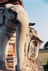 Fototapeta premium sculpture elephants thailande