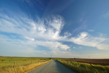 Fototapeta premium agricultural field