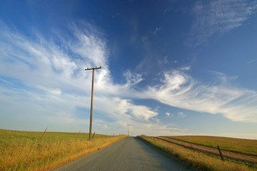 agricultural field