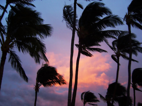hawaii - 17