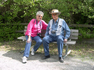 resting on the bench