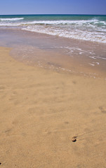 Fototapeta na wymiar strand auf fuerteventura 2