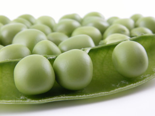 sweet pea