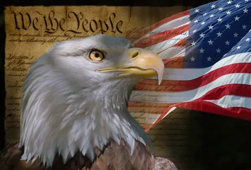 Foto op Plexiglas kale adelaar en amerikaanse vlag © R. Gino Santa Maria