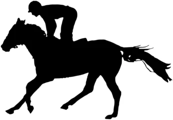 Photo sur Plexiglas Léquitation racehorse