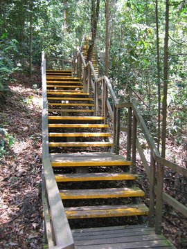 stairs, stairway, walk