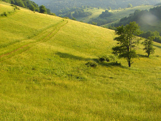 summer landscape 2 © .shock