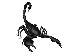 scorpion