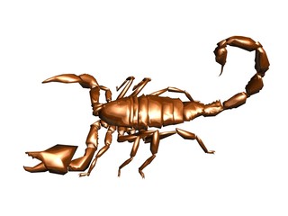 scorpion