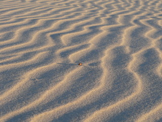 beach sand