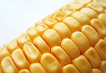 maize cob