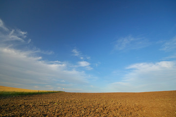 Fototapeta na wymiar agricultural landscape